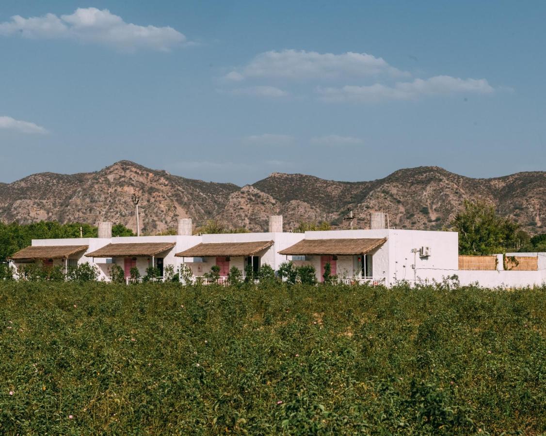 The Luxe Pushkar - A Luxury Farmstay In Pushkar Exterior foto