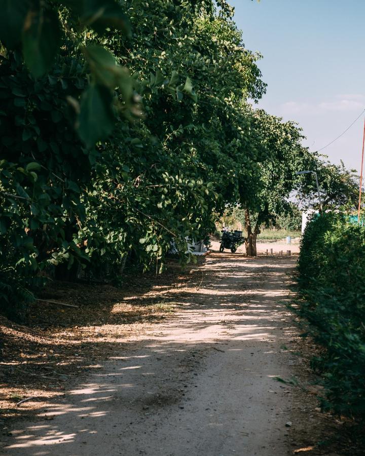 The Luxe Pushkar - A Luxury Farmstay In Pushkar Exterior foto