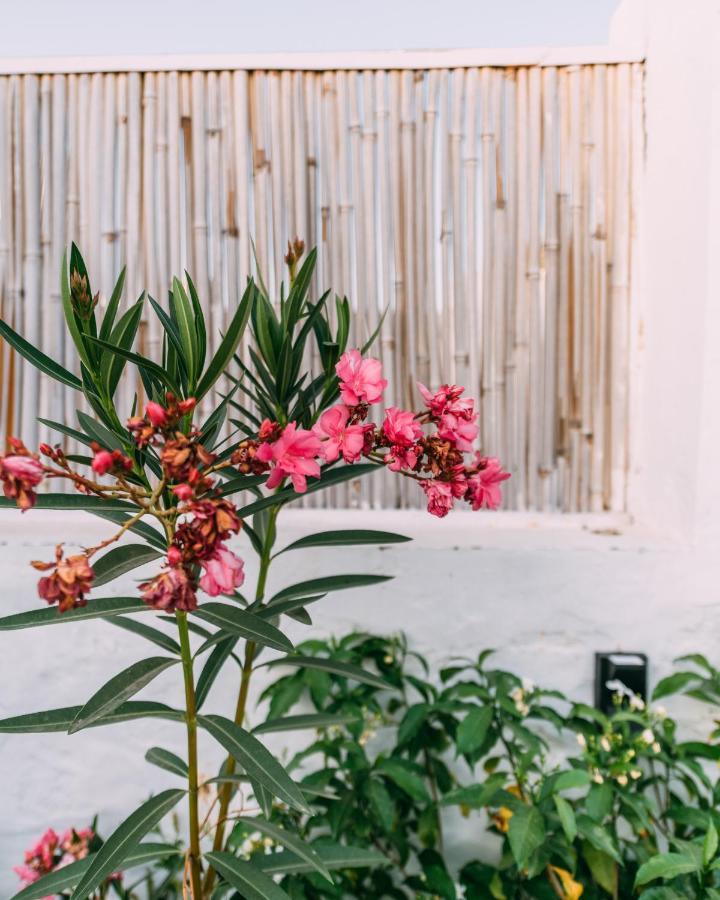 The Luxe Pushkar - A Luxury Farmstay In Pushkar Exterior foto