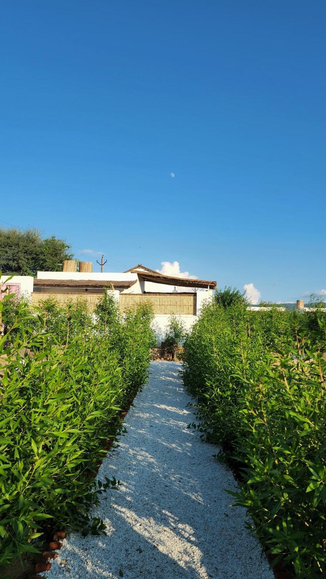 The Luxe Pushkar - A Luxury Farmstay In Pushkar Exterior foto