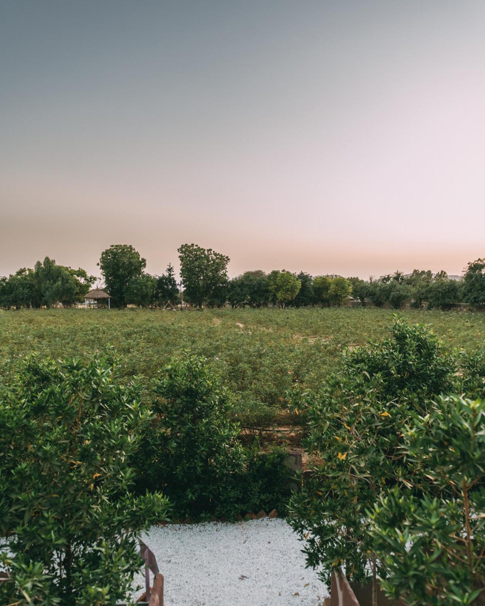 The Luxe Pushkar - A Luxury Farmstay In Pushkar Exterior foto